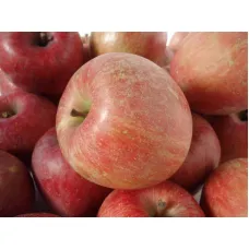 Яблоня домашняя Фуджион