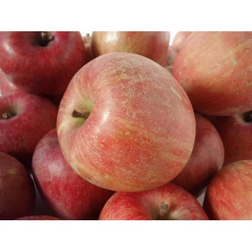 Яблоня домашняя Фуджион